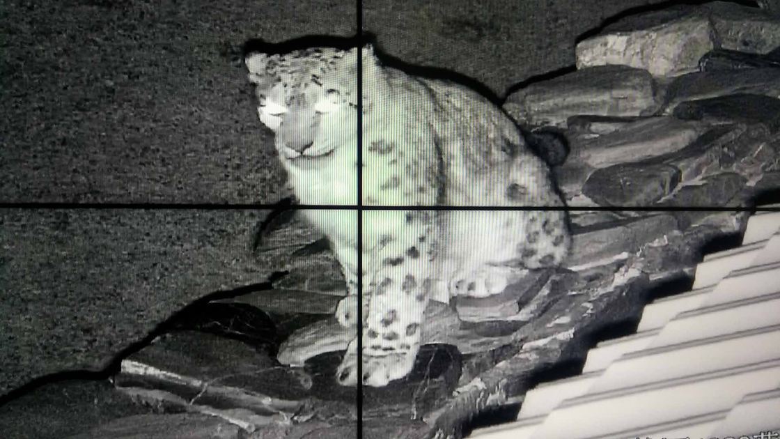 Wide View Long Range Infrared Camera Night Vision 360° Pan Border Security Camera